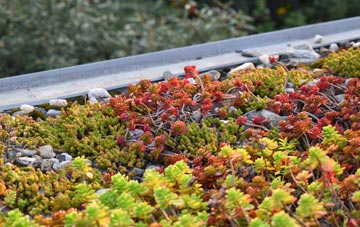 the cost of Rookwood green roof installation