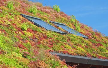 Rookwood living roof systems